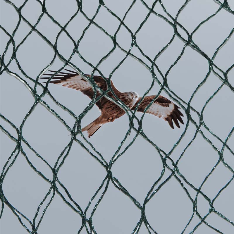 పక్షుల నివారణ వలల యొక్క మెటీరియల్ ఎంపికలు మరియు ప్రయోజనాలు మరియు అప్రయోజనాలు ఏమిటి?