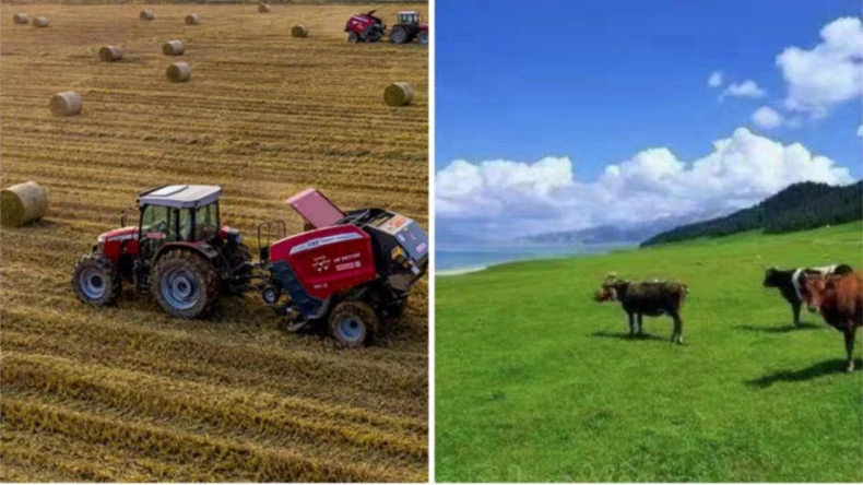 వ్యవసాయ కార్యకలాపాలలో బేల్ నెట్ ర్యాప్ యొక్క అప్లికేషన్