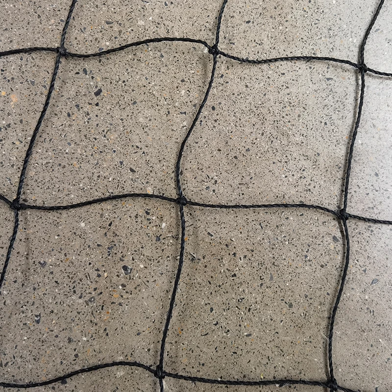 క్రికెట్ నెట్‌ల పాత్ర