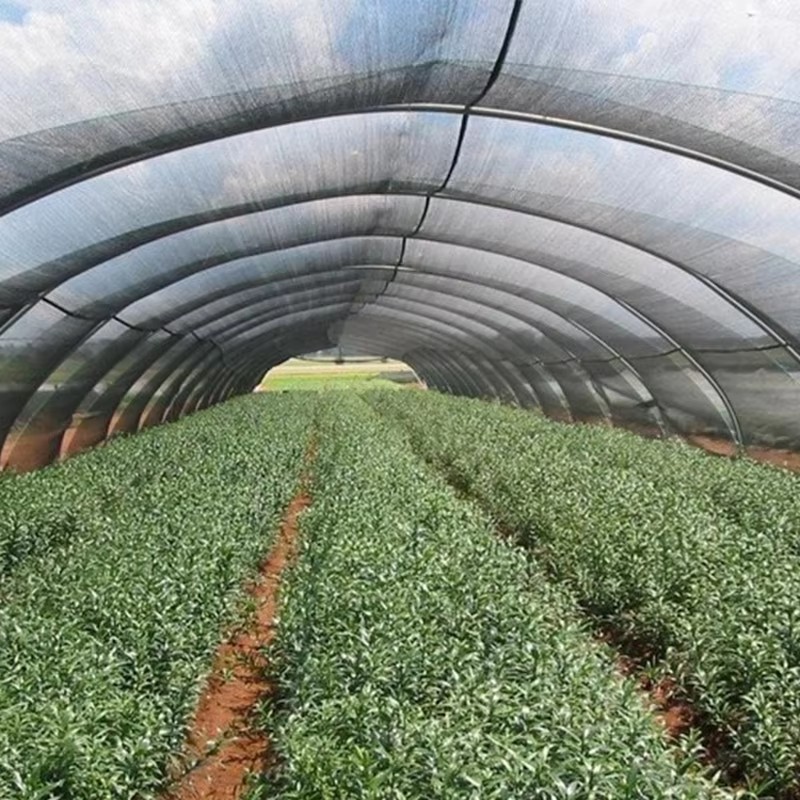 నీడ వస్త్రం యొక్క శీతలీకరణ ప్రభావం మంచిదా?