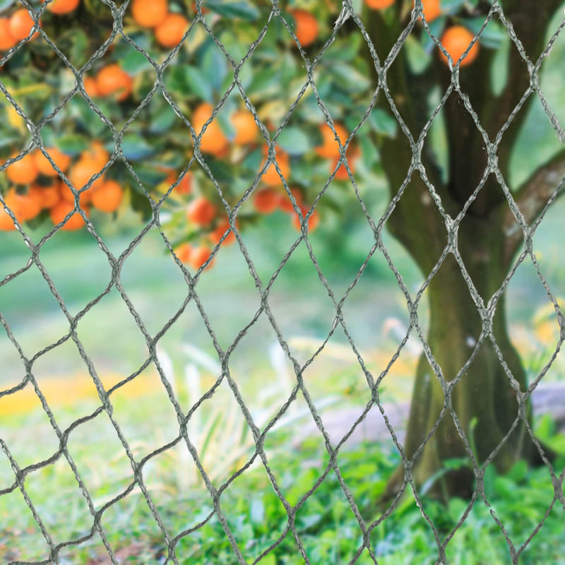 మా హెవీ-డ్యూటీ బర్డ్ నెట్టింగ్‌తో మీ పంటలు, ఆస్తి & పెట్టుబడిని రక్షించుకోండి!