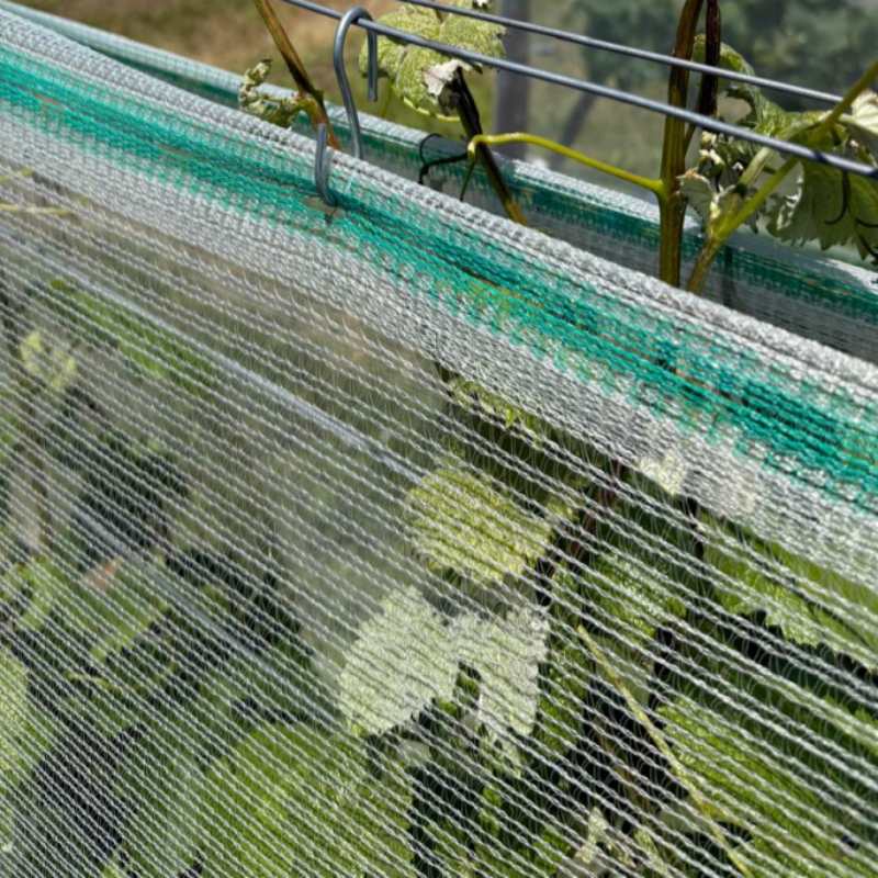 వ్యవసాయం HDPE యాంటీ-హెయిల్ నెట్టింగ్ వ్యవసాయం HDPE యాంటీ-హెయిల్ నెట్టింగ్